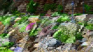 Разнообразные камни и растения создадут ощущение неподдельной природной красоты во дворе