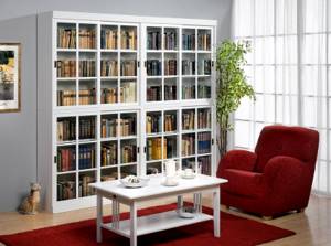 Шкаф для книг со стеклом в белом цвете способен добавить помещению изысканности и оригинальности